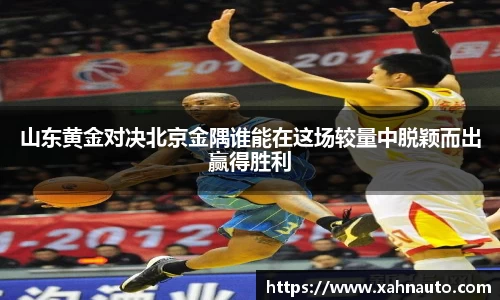 山东黄金对决北京金隅谁能在这场较量中脱颖而出赢得胜利
